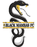 Black Mambas FC Logo