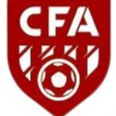 Lingwu No. 2 Middle School Women's Football Team U14 Logo