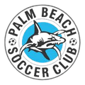 Palm Beach Sharks(w) Logo