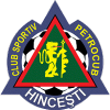 Runner up logo
