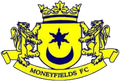 Moneyfields Women Logo
