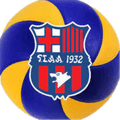 Agioi Anargyro Logo