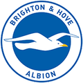 Brighton Hove Albion Logo