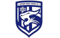 Wuhan Three Towns Martial Arts (W) Logo