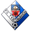 Slavicin Logo