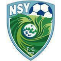 Shenyang Zhongze(2005-2015) Logo