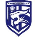 Wuhan Three Towns Reserves Logo