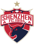 Shenzhen FC U21 Logo