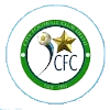 City FC Logo