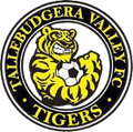 Tally Valley Metro Logo