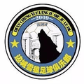 Inner Mongolia Snowwol Futsal Logo