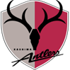 Kashima Antlers (Youth) Logo