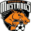 Musgrave Mustangs B Logo