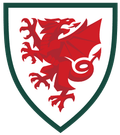 Wales U15 Logo