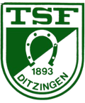 TSF Ditzingen Youth Logo