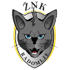 Znk Radomlje(w) Logo