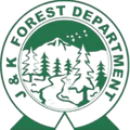 J K Forest XI Logo