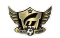 Shenzhen Heritage All-Star FC Logo
