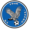 Orzel Zabkowice Slaskie Logo