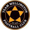 Team Wellington Logo