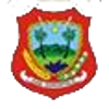 Panipi Raya FC Logo