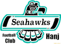 Sea Hawks FC Hanj Logo