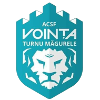Voin Tate Numa Glenn Logo