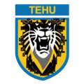 Nanjing Tehu Football Club Logo