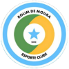 Rolim de Moura W Logo