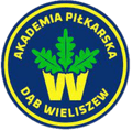 Dab Wieliszew Logo