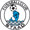 St. gallenstad (w) Logo