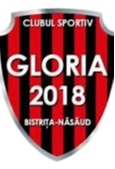 Gloria 2018 Bistrita Nasaud (W) Logo