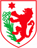 ASD Grassina Logo