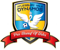 Aylesbury Vale Dynamos F.C. Logo
