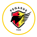 Runner up logo
