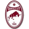 Banyule City Logo