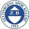 Zeytinburnuspor Logo