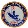 Berekum Chelsea Youth Logo