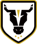 Bulls Academy (W) Logo