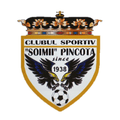 Pancota Logo