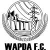 WAPDA Beach Logo