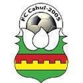 Runner up logo