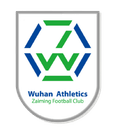 HuBei Wuti Logo