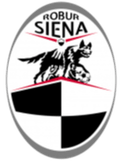 Runner up logo