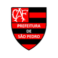 Flamengo Sao Pedro (W) Logo