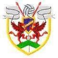 Brynririon Ath. Logo