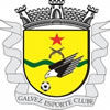Galvez U17 Logo