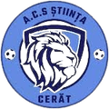 圖爾錢尼ACS Logo