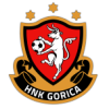 HNK Gorica W Logo