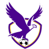 Runner up logo